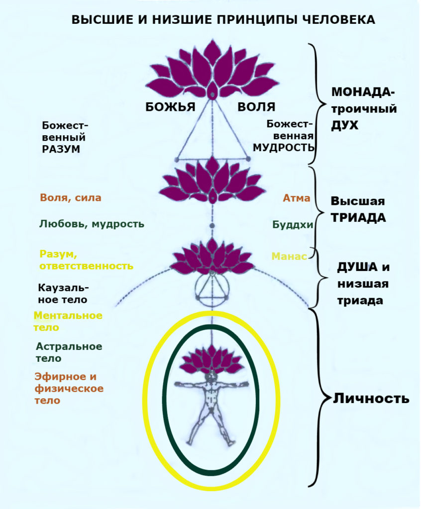 Мои принципы картинки